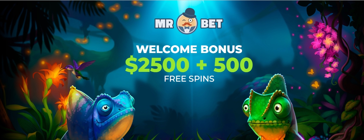 Mr. Bet vous accueille dans son casino en ligne